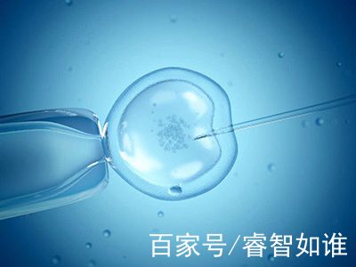 专家